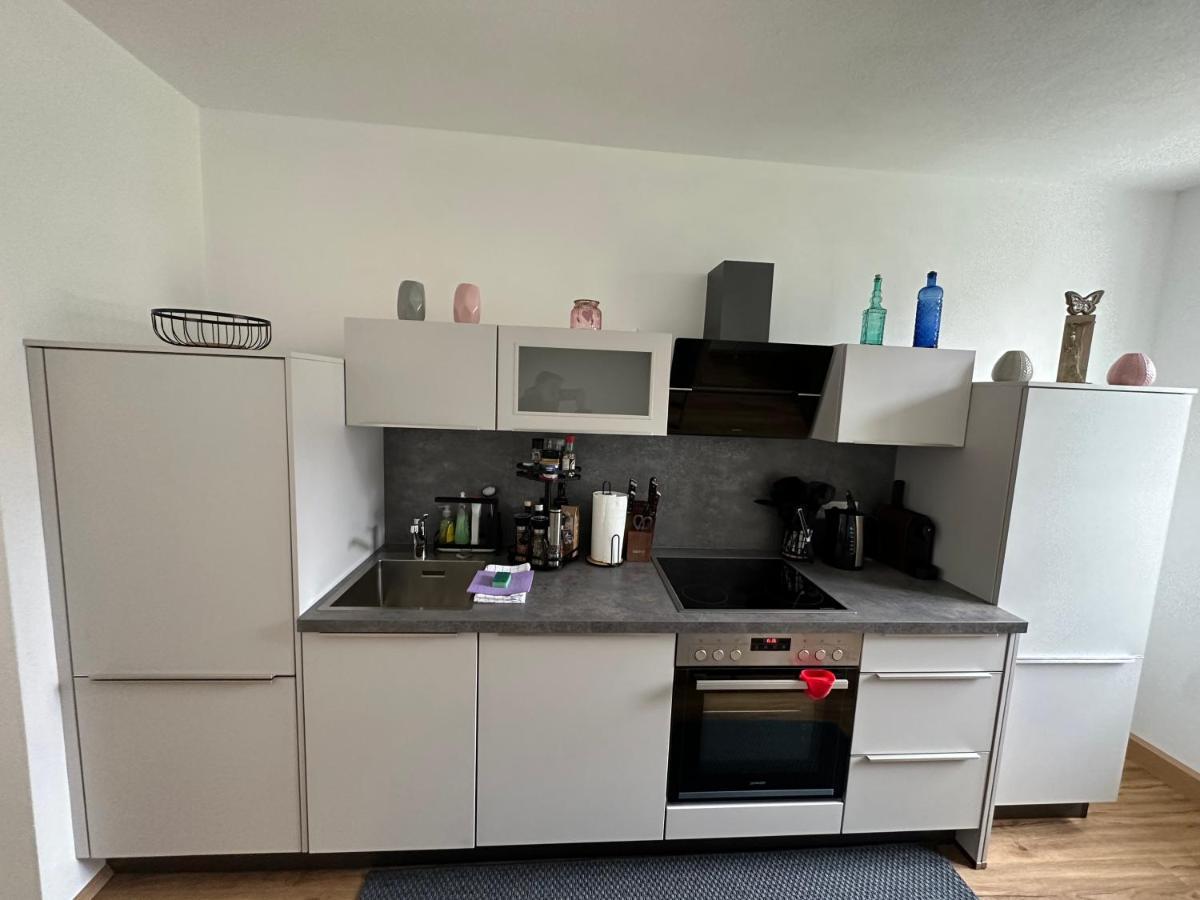Traunkai Apartments 巴德伊舍 外观 照片